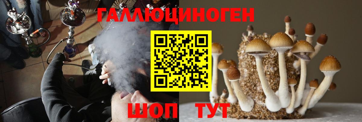 Псилоцибиновые грибы MAGIC MUSHROOMS Лабинск